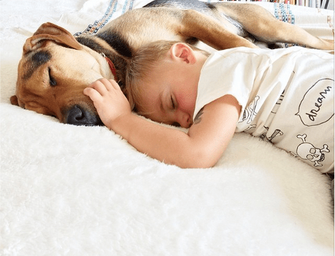 Η ιστορία αγάπης και... ύπνου μέρος 3ο -Το μωρό και ο σκύλος που «έλιωσαν» το Ιντερνετ μεγάλωσαν και κοιμούνται πλέον ο ένας πάνω στον άλλον [εικόνες] | iefimerida.gr 14