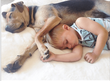 Η ιστορία αγάπης και... ύπνου μέρος 3ο -Το μωρό και ο σκύλος που «έλιωσαν» το Ιντερνετ μεγάλωσαν και κοιμούνται πλέον ο ένας πάνω στον άλλον [εικόνες] | iefimerida.gr 16