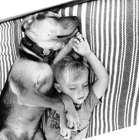 Η ιστορία αγάπης και... ύπνου μέρος 3ο -Το μωρό και ο σκύλος που «έλιωσαν» το Ιντερνετ μεγάλωσαν και κοιμούνται πλέον ο ένας πάνω στον άλλον [εικόνες] | iefimerida.gr 17