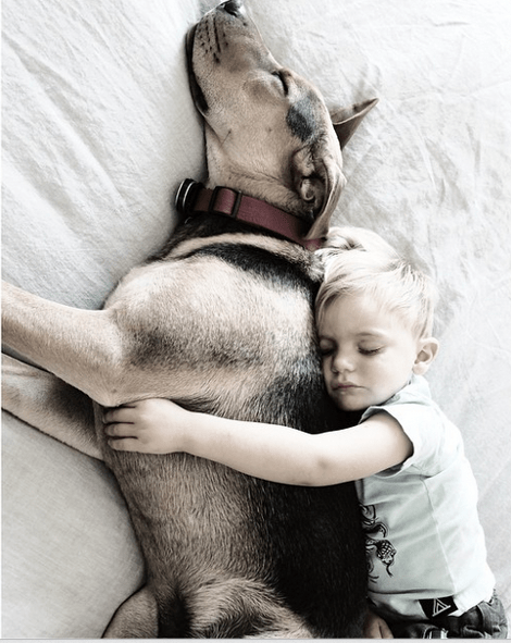 Η ιστορία αγάπης και... ύπνου μέρος 3ο -Το μωρό και ο σκύλος που «έλιωσαν» το Ιντερνετ μεγάλωσαν και κοιμούνται πλέον ο ένας πάνω στον άλλον [εικόνες] | iefimerida.gr 18