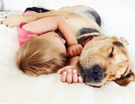 Η ιστορία αγάπης και... ύπνου μέρος 3ο -Το μωρό και ο σκύλος που «έλιωσαν» το Ιντερνετ μεγάλωσαν και κοιμούνται πλέον ο ένας πάνω στον άλλον [εικόνες] | iefimerida.gr 19