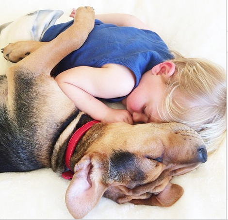 Η ιστορία αγάπης και... ύπνου μέρος 3ο -Το μωρό και ο σκύλος που «έλιωσαν» το Ιντερνετ μεγάλωσαν και κοιμούνται πλέον ο ένας πάνω στον άλλον [εικόνες] | iefimerida.gr 20