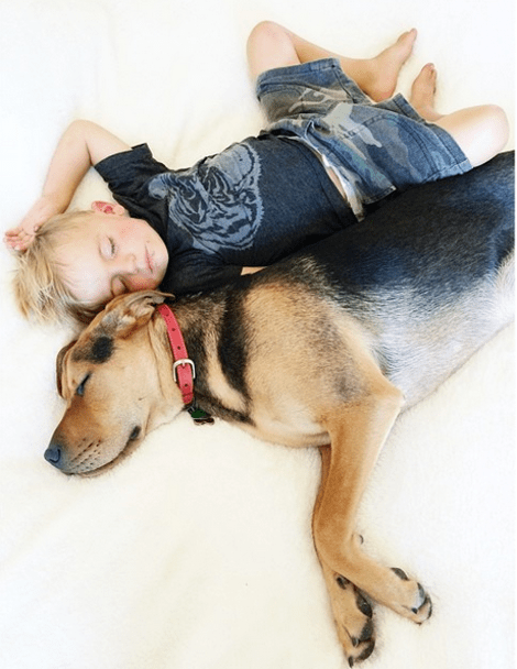 Η ιστορία αγάπης και... ύπνου μέρος 3ο -Το μωρό και ο σκύλος που «έλιωσαν» το Ιντερνετ μεγάλωσαν και κοιμούνται πλέον ο ένας πάνω στον άλλον [εικόνες] | iefimerida.gr 21