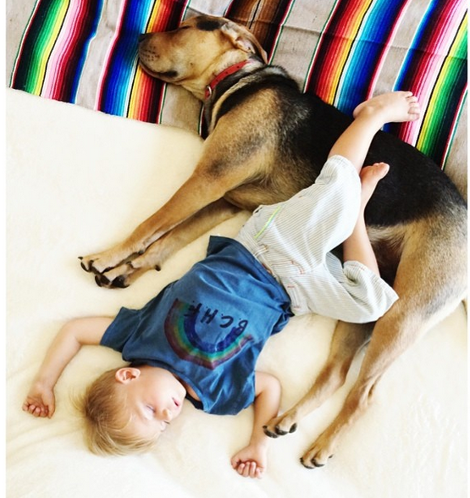 Η ιστορία αγάπης και... ύπνου μέρος 3ο -Το μωρό και ο σκύλος που «έλιωσαν» το Ιντερνετ μεγάλωσαν και κοιμούνται πλέον ο ένας πάνω στον άλλον [εικόνες] | iefimerida.gr 22