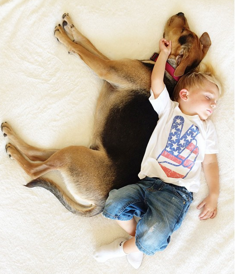 Η ιστορία αγάπης και... ύπνου μέρος 3ο -Το μωρό και ο σκύλος που «έλιωσαν» το Ιντερνετ μεγάλωσαν και κοιμούνται πλέον ο ένας πάνω στον άλλον [εικόνες] | iefimerida.gr 25