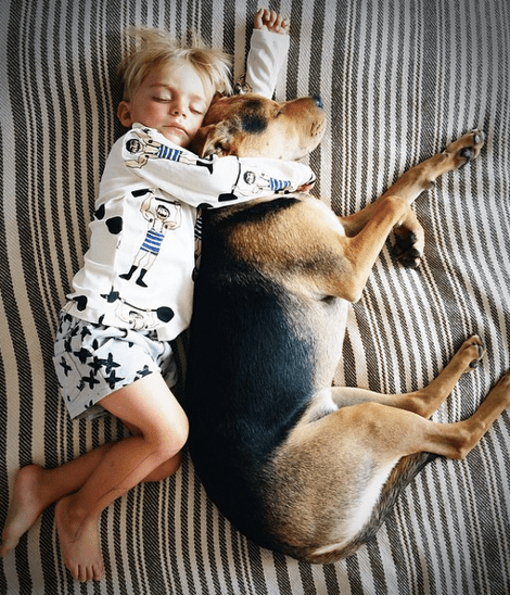 Η ιστορία αγάπης και... ύπνου μέρος 3ο -Το μωρό και ο σκύλος που «έλιωσαν» το Ιντερνετ μεγάλωσαν και κοιμούνται πλέον ο ένας πάνω στον άλλον [εικόνες] | iefimerida.gr 26