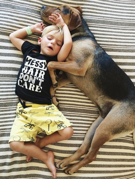 Η ιστορία αγάπης και... ύπνου μέρος 3ο -Το μωρό και ο σκύλος που «έλιωσαν» το Ιντερνετ μεγάλωσαν και κοιμούνται πλέον ο ένας πάνω στον άλλον [εικόνες] | iefimerida.gr 27