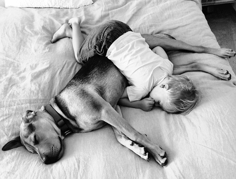 Η ιστορία αγάπης και... ύπνου μέρος 3ο -Το μωρό και ο σκύλος που «έλιωσαν» το Ιντερνετ μεγάλωσαν και κοιμούνται πλέον ο ένας πάνω στον άλλον [εικόνες] | iefimerida.gr 29