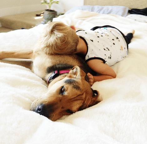 Η ιστορία αγάπης και... ύπνου μέρος 3ο -Το μωρό και ο σκύλος που «έλιωσαν» το Ιντερνετ μεγάλωσαν και κοιμούνται πλέον ο ένας πάνω στον άλλον [εικόνες] | iefimerida.gr 30