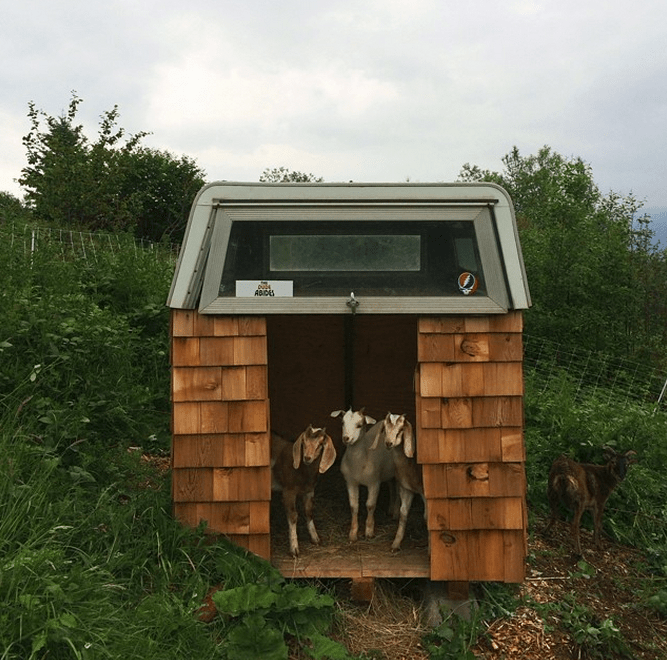 Ο γοητευτικός Αμερικάνος που παράτησε την καριέρα του και δημιούργησε ένα πρωτόγνωρο κίνημα νέων, ρομαντικών νομάδων στις ΗΠΑ [εικόνες] | iefimerida.gr 3