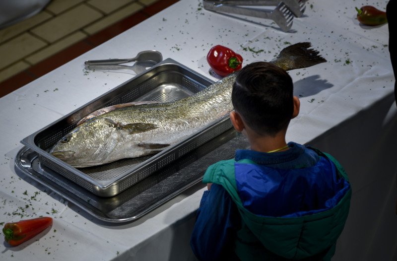 Μύρισε... ψάρι στην Ιχθυόσκαλα -Γιόρτασαν την έναρξη της αλιευτικής περιόδου [εικόνες] | iefimerida.gr 14