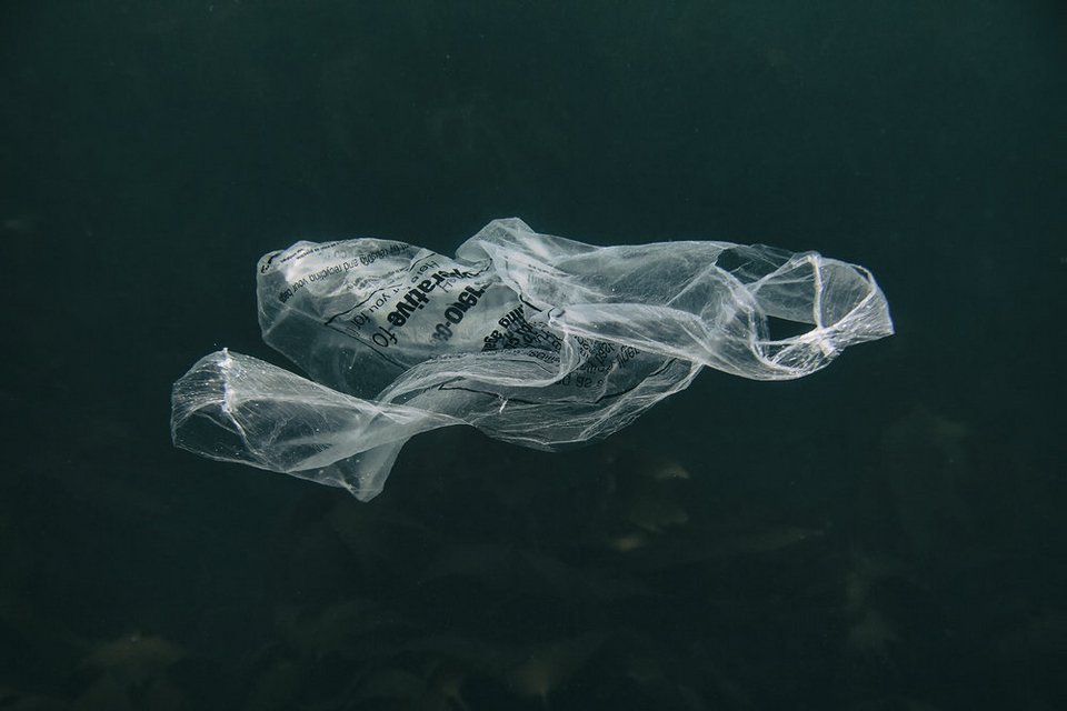 Φωτογράφος απαθανατίζει εικόνες μολυσμένων θαλασσών [εικόνες] | iefimerida.gr 1