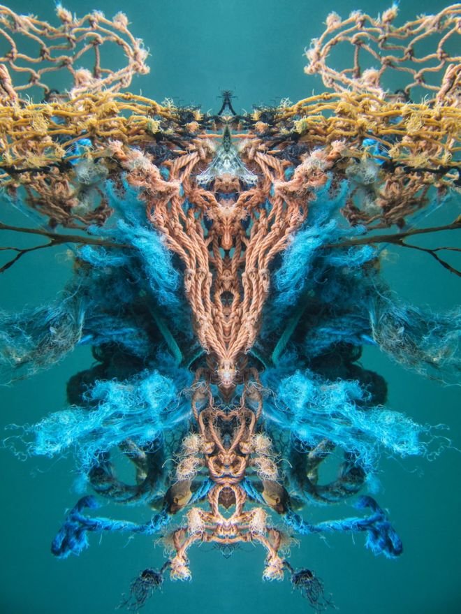 Φωτογράφος απαθανατίζει εικόνες μολυσμένων θαλασσών [εικόνες] | iefimerida.gr 0