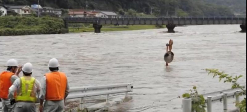 Καταρρακτώδεις βροχές στην Ιαπωνία: 400.000 εγκατέλειψαν τα σπίτια τους - 10 άτομα αγνοούνται [εικόνες & βίντεο] | iefimerida.gr 2