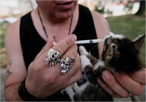 Rescue Ink: Οι τρομακτικοί μηχανόβιοι της Νέας Υόρκης που προστατεύουν τα ζώα [εικόνες] | iefimerida.gr 6