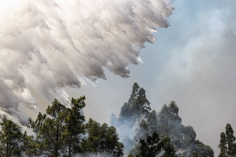 Ισχυρές πυρκαγιές εξακολουθούν να μαίνονται στην κεντρική Πορτογαλία και την Κορσική [βίντεο] | iefimerida.gr 1