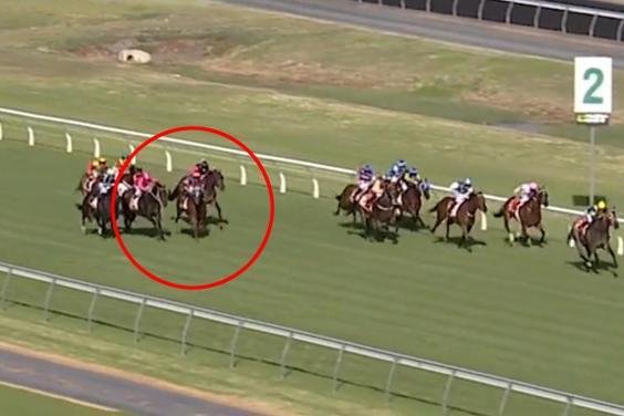 Τζόκεϊ σε ιπποδρομία πέφτει πάνω σε άλογα για να κερδίσει η αγαπημένη του [εικόνες & βίντεο]   | iefimerida.gr 1
