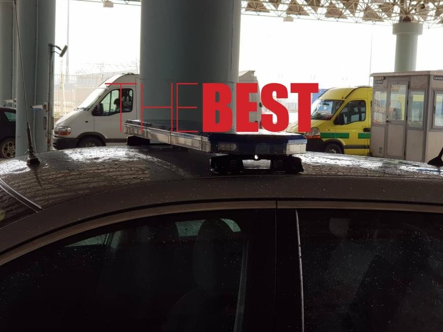 Δύο βαν με σκύλους και γάτες εντοπίστηκαν στην Πάτρα –  Θα προωθούνταν στο εξωτερικό [εικόνες] | iefimerida.gr 1