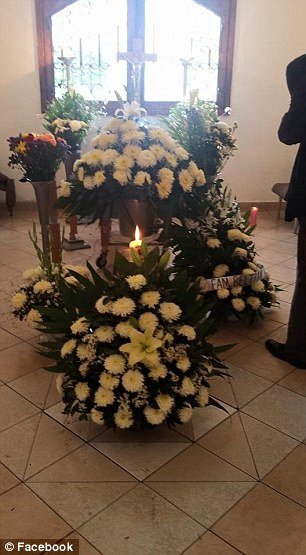 Συγκινητικό: Αδέσποτα σκυλιά πήγαν στην κηδεία της γυναίκας που τα φρόντιζε [εικόνες]  | iefimerida.gr 1