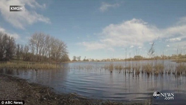 Πέταξαν μια γυάλα με χρυσόψαρα σε λίμνη – Αυτά έγιναν 4.000 και απειλούν το οικολογικό σύστημα της περιοχής [εικόνες] | iefimerida.gr 1