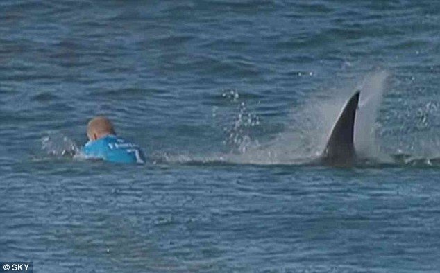 Καρά καρέ επίθεση καρχαρία σε πρωταθλητή του σερφ [εικόνες&βίντεο] | iefimerida.gr 0