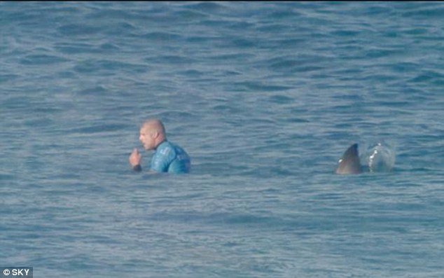 Καρά καρέ επίθεση καρχαρία σε πρωταθλητή του σερφ [εικόνες&βίντεο] | iefimerida.gr 1