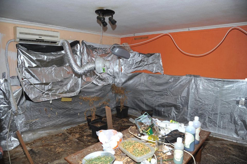 Σύλληψη 42χρονου στην Κυψέλη - Είχε μετατρέψει το σπίτι σε φυτεία χασίς [εικόνες]  | iefimerida.gr 1