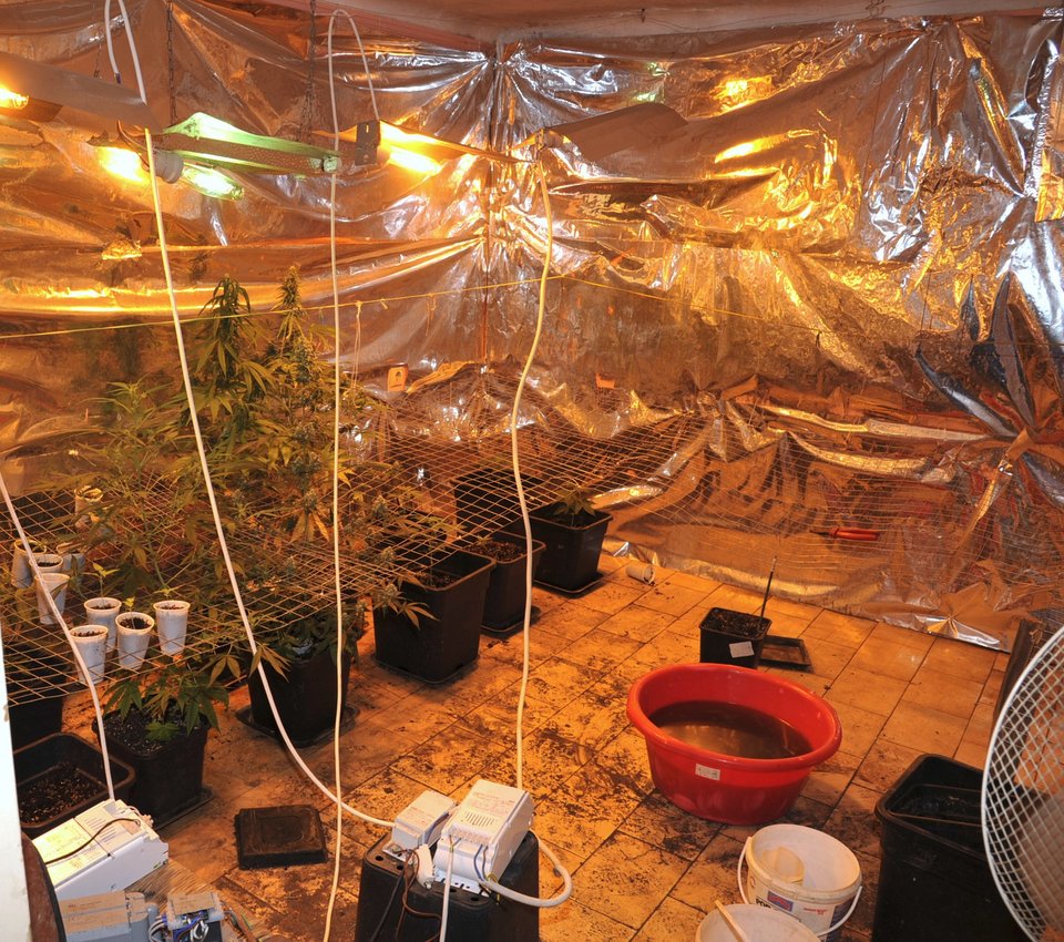 Σύλληψη 42χρονου στην Κυψέλη - Είχε μετατρέψει το σπίτι σε φυτεία χασίς [εικόνες]  | iefimerida.gr 2