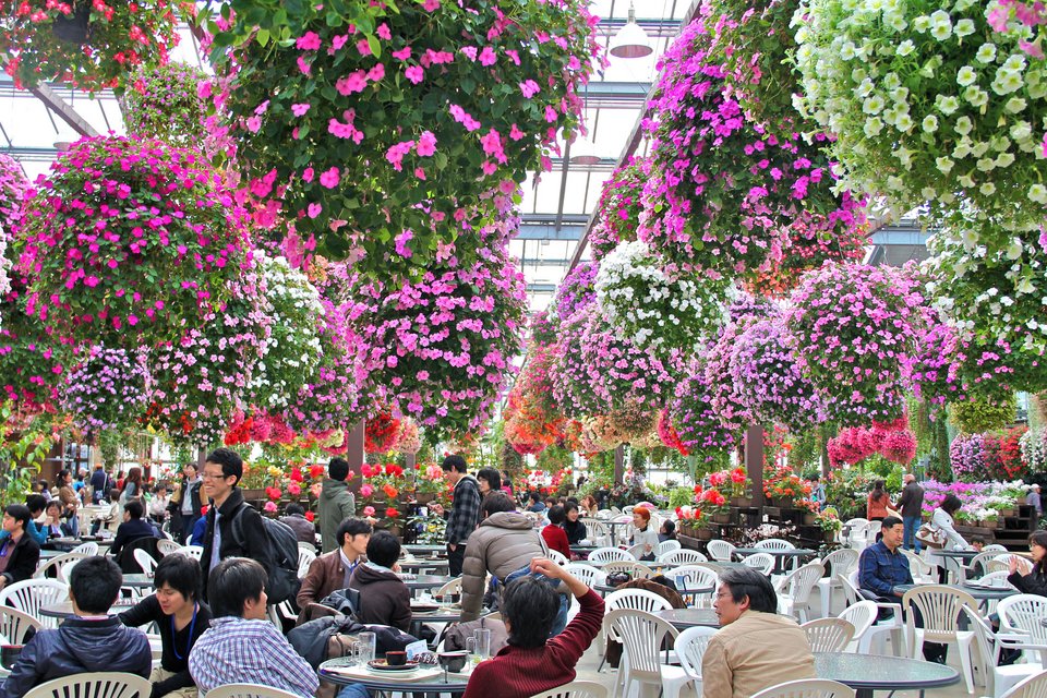 To oμορφότερο καφέ-εστιατόριο στον κόσμο: Δεν υπάρχουν λόγια για να το περιγράψεις [εικόνες] | iefimerida.gr 1