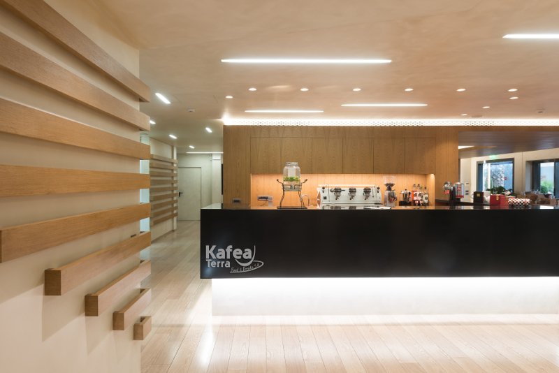The Bean, the Blend, the Barista: Το τρίπτυχο επιτυχίας για την KAFEA TERRA | iefimerida.gr 0