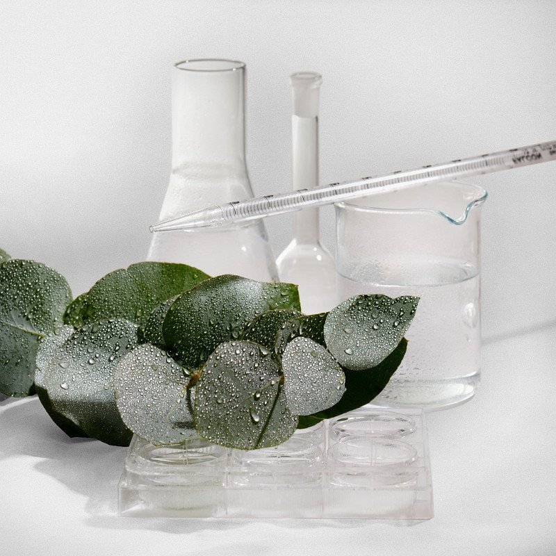 Η L'Oréal επιταχύνει το μετασχηματισμό της το 2017 | iefimerida.gr 2