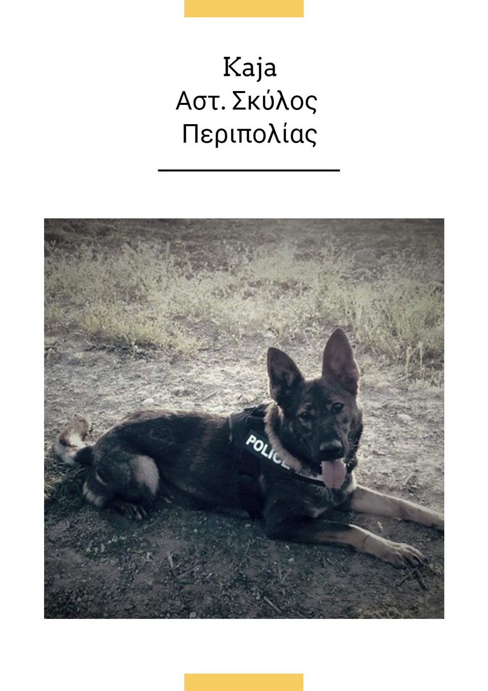 Κάτζα: Ο σκύλος της ΕΛ.ΑΣ. που έγινε ήρωας -Ανακάλυψε τα ίχνη επικίνδυνου εγκληματία [εικόνες] | iefimerida.gr 0