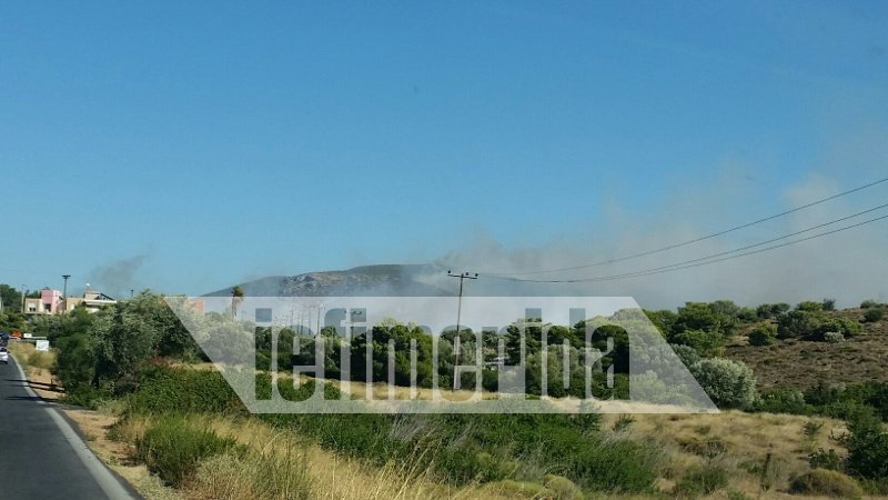 Σαρωνίδα: Εφτασε στην παραλία η μεγάλη φωτιά -Απειλούνται σπίτια [αποκλειστικές εικόνες & βίντεο] | iefimerida.gr 15