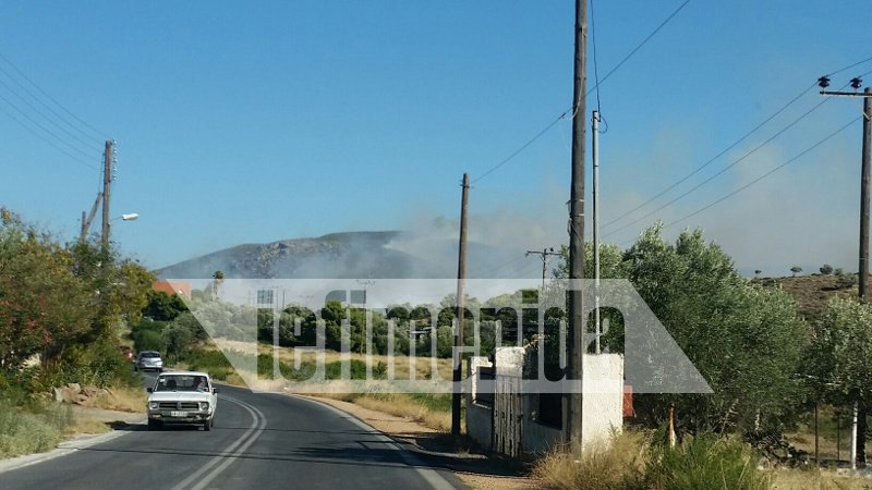 Σαρωνίδα: Εφτασε στην παραλία η μεγάλη φωτιά -Απειλούνται σπίτια [αποκλειστικές εικόνες & βίντεο] | iefimerida.gr 13