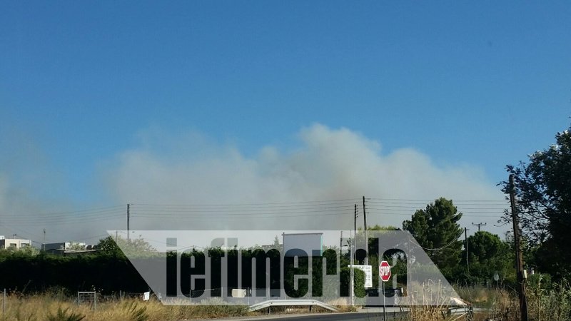 Σαρωνίδα: Εφτασε στην παραλία η μεγάλη φωτιά -Απειλούνται σπίτια [αποκλειστικές εικόνες & βίντεο] | iefimerida.gr 12