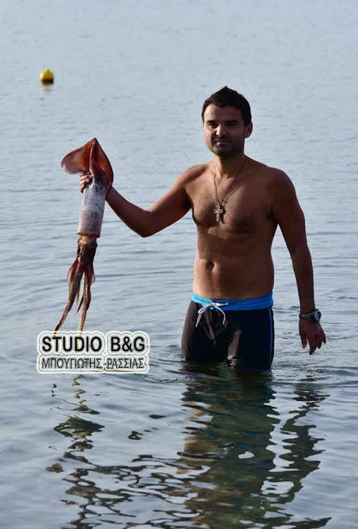 Ναύπλιο: Χειμερινός κολυμβητής «ψάρεψε» τεράστιο καλαμάρι με τα χέρια του [εικόνες & βίντεο] | iefimerida.gr 0
