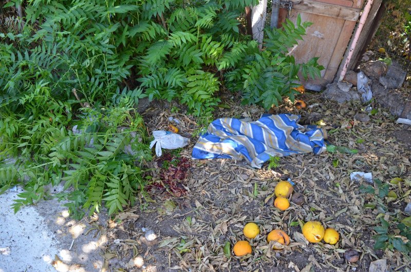 Σοκ στην Καλαμάτα: 75χρονος αυτοκτόνησε με καραμπίνα έξω από παιδικό σταθμό [εικόνες & βίντεο] | iefimerida.gr 2