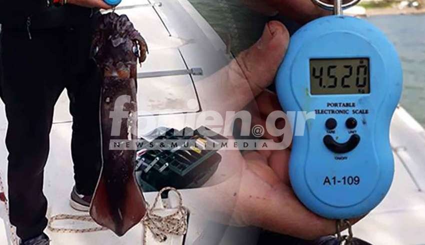 Ερασιτέχνης ψαράς έπιασε καλαμάρι-γίγας στην Κρήτη [εικόνες] | iefimerida.gr 0