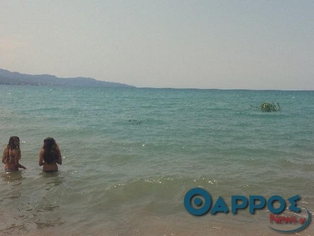 Απίστευτο: Στην παραλία της Καλαμάτας ξεφύτρωσε ένα νησάκι απο τη νεροποντή [εικόνες]  | iefimerida.gr 0