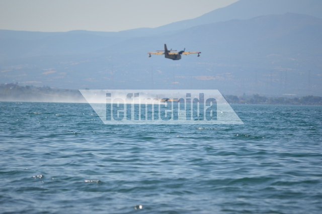 Υπό μερικό έλεγχο η πυρκαγιά στην Αρτέμιδα [εικόνες] | iefimerida.gr 1