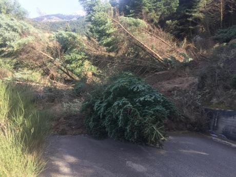 Μεγάλη κατολίσθηση στο Καλέντζι Αχαΐας [εικόνες] | iefimerida.gr 1