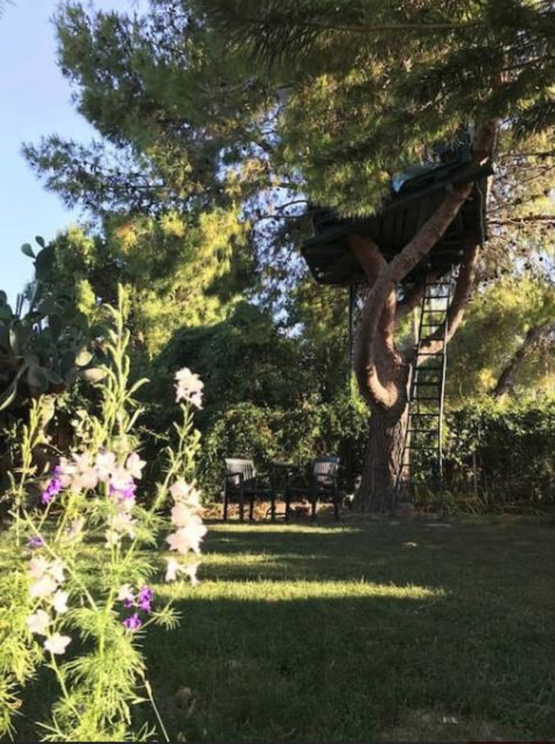 Διακοπές σε ονειρεμένα δεντρόσπιτα της Ελλάδας -Μποέμ διάθεση και ηρεμία στη φύση [εικόνες] | iefimerida.gr 4