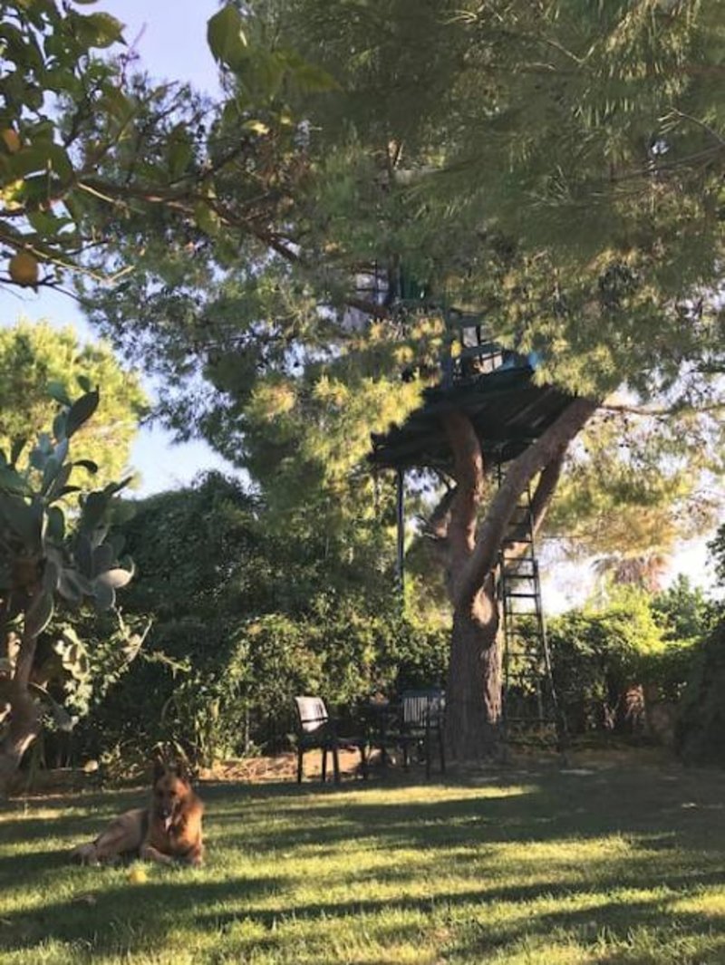 Διακοπές σε ονειρεμένα δεντρόσπιτα της Ελλάδας -Μποέμ διάθεση και ηρεμία στη φύση [εικόνες] | iefimerida.gr 3