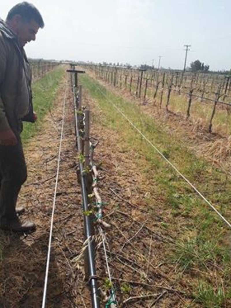  Σοβαρές ζημιές στις καλλιέργειες σε Αχαΐα και Ηλεία εξαιτίας της κακοκαιρίας [εικόνες] | iefimerida.gr 3