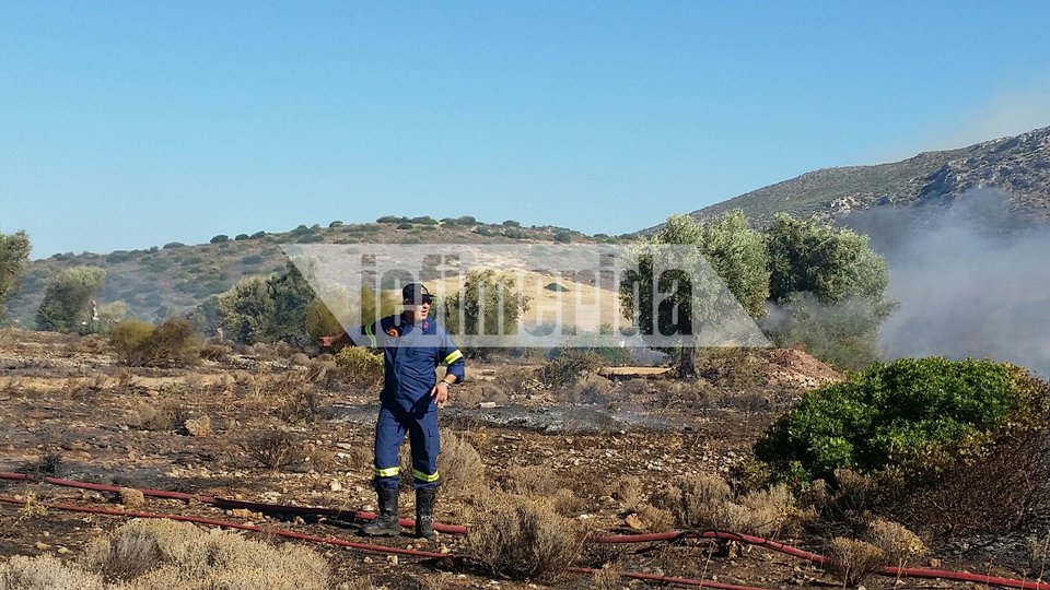 Σαρωνίδα: Εφτασε στην παραλία η μεγάλη φωτιά -Απειλούνται σπίτια [αποκλειστικές εικόνες & βίντεο] | iefimerida.gr 10