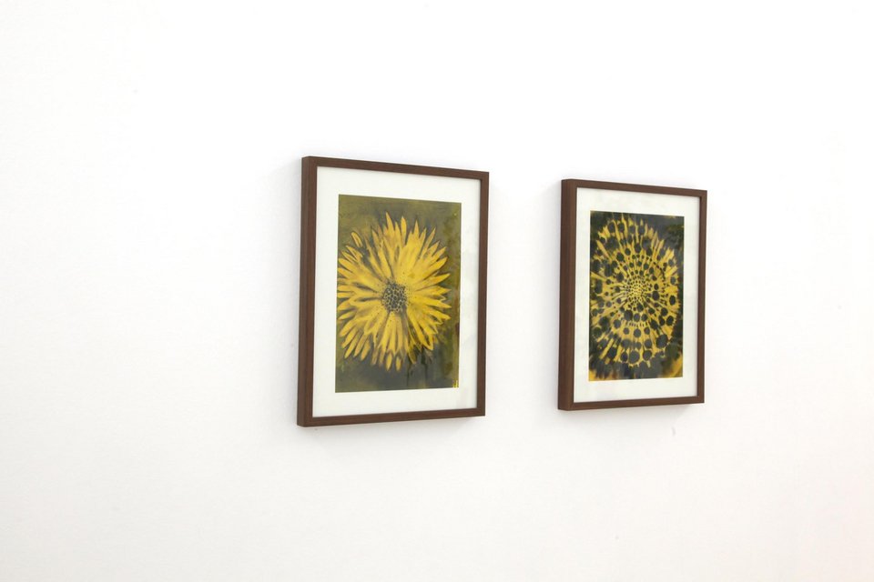 Ζωντανοί «Κήποι σε εξέλιξη» στο Μεταξουργείο [εικόνες] | iefimerida.gr 2