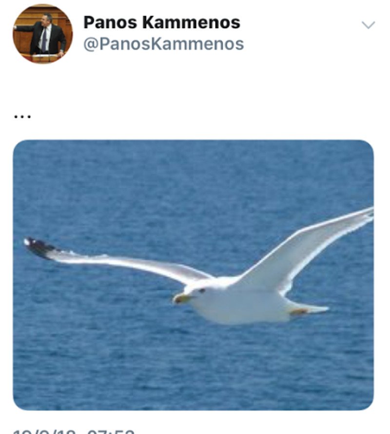 Το μυστηριώδες tweet του Πάνου Καμμένου -Ενας γλάρος και τρεις τελείες... | iefimerida.gr 0