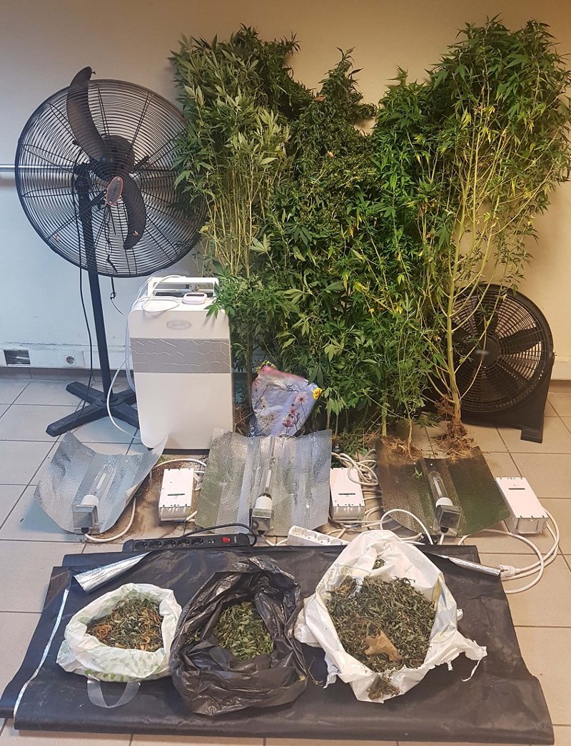 Θεσσαλονίκη: Βρέθηκε αυτοσχέδιο εργαστήριο υδροπονικής κάνναβης [εικόνες] | iefimerida.gr 1