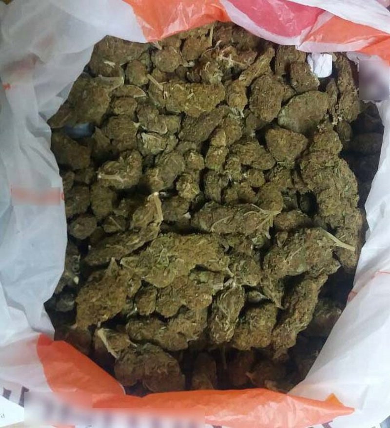 Θεσσαλονίκη: Βρέθηκε αυτοσχέδιο εργαστήριο υδροπονικής κάνναβης [εικόνες] | iefimerida.gr 3