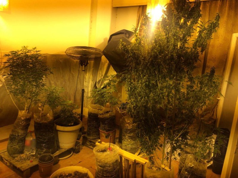 Θεσσαλονίκη: Βρέθηκε αυτοσχέδιο εργαστήριο υδροπονικής κάνναβης [εικόνες] | iefimerida.gr 0
